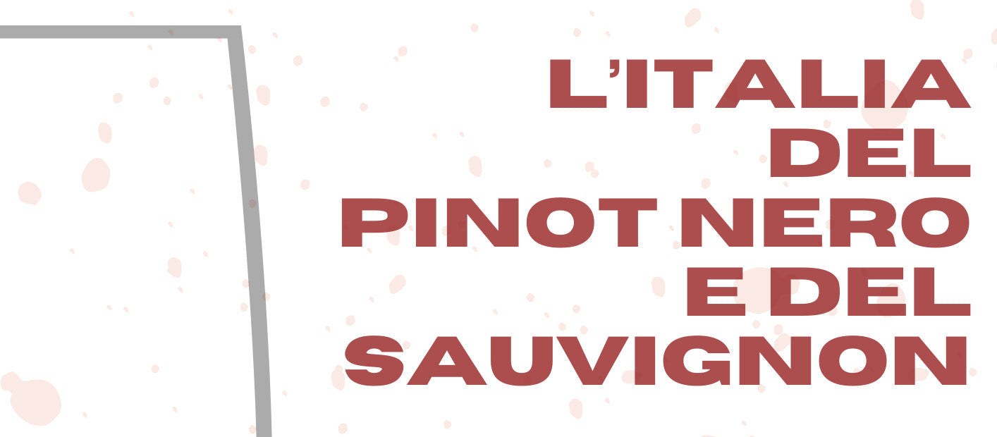 Casata Mergè a “L’Italia del Pinot Nero e del Sauvignon” – Roma, 7 e 8 febbraio 2026