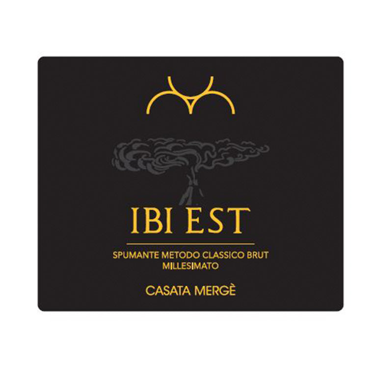 
                  
                    IBI EST Spumante Brut Millesimato Metodo Classico 36 mesi - 750ml
                  
                